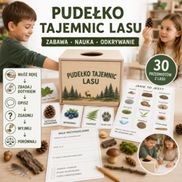 Pudełko tajemnic lasu