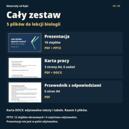 Jak działa aparat ruchu? Kości, stawy i mięśnie - biologia, klasa 7