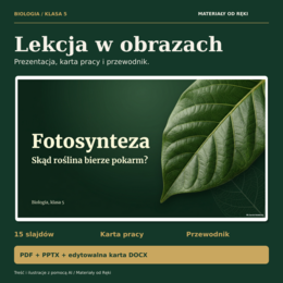 Fotosynteza, klasa 5 - 15 slajdów, karta pracy PDF/DOCX i przewodnik
