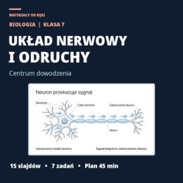 Układ nerwowy i odruchy - biologia klasa 7 | Centrum dowodzenia, lekcja na 45 minut