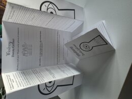 Lapbook + miniksiążeczka ,, Wścibscy "