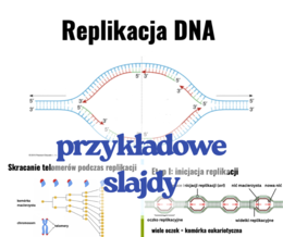 Replikacja DNA - prezentacja (poziom rozszerzony, matura)