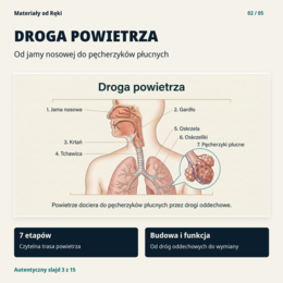 Układ oddechowy - biologia klasa 7 | prezentacja i karta pracy na 45 minut