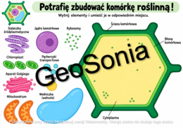 „Komórka Roślinna: Budowa i Funkcje” – Plakat Edukacyjny + Karta Pracy DIY