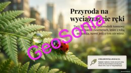 Rośliny i zwierzęta w mojej okolicy „Przyroda na wyciągnięcie ręki: Twój interaktywny przewodnik terenowy” – Multimedialna Prezentacja Edukacyjno-Przyrodnicza (Klasy 4–6)