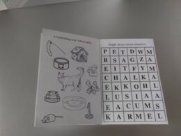 Lapbook + miniksiążeczka ,,Cukierku, ty łobuzie "