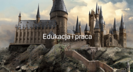 WOS: EDUKACJA I PRACA