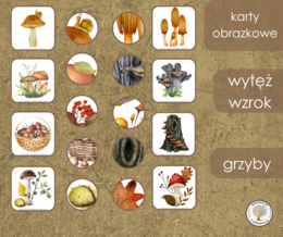 Gra - wytęż wzrok - grzyby