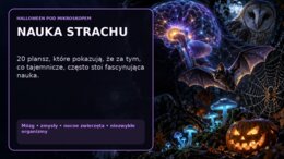 Nauka strachu – Halloween pod mikroskopem | gazetka – wersja ciemna