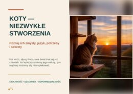 Koty - niezwykłe stworzenia