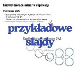 Replikacja DNA - prezentacja (poziom rozszerzony, matura)