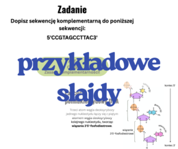 Budowa i rola kwasów nukleinowych - prezentacja klasa 3 i 4 szkoła średnia