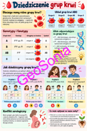 Dziedziczenie grup krwi biologia klasa 8 sketchnotka