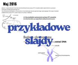 Geny i genomy. - prezentacja III /  IV klasa poziom rozszerzony biologia matura