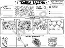 Tkanki