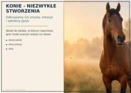 Konie - niezwykłe stworzenia