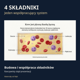 Krew - biologia klasa 7 | Misja: Krew! Prezentacja i karta pracy na 45 minut