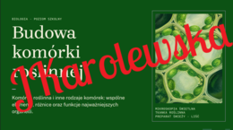 Budowa komórki roślinnej
