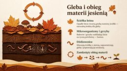 Jesień – prezentacja edukacyjna. Przyroda, zwierzęta, pogoda i tradycje