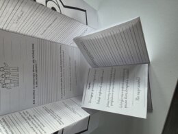 Lapbook + miniksiążeczka ,, Wścibscy "