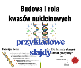 Budowa i rola kwasów nukleinowych - prezentacja klasa 3 i 4 szkoła średnia
