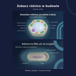 Komórki od środka: budowa i porównanie komórek | biologia klasa 5
