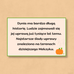 DZIEŃ DYNI - ZESTAW