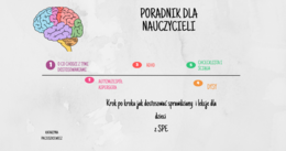 Dostosowania - poradnik.
