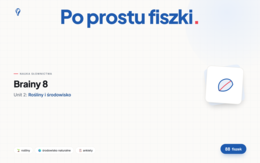 Fiszki do Unitu 2, Brainy 8