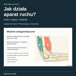 Jak działa aparat ruchu? Kości, stawy i mięśnie - biologia, klasa 7