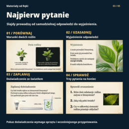 Fotosynteza, klasa 5 - 15 slajdów, karta pracy PDF/DOCX i przewodnik
