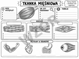 Tkanki
