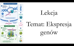 Klasa 3 ( podstawa) - Ekspresja genów - prezentacja
