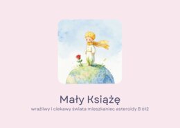 fiszki, "Mały Książę", bohaterowie, cytaty