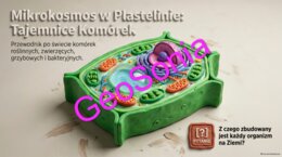 Mikrokosmos w Plastelinie: Tajemnice Komórek” – Prezentacja Multimedialna (Biologia, Klasa 5)