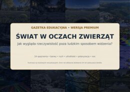 Świat w oczach zwierząt – jak widzą zwierzęta?