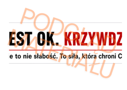 ZANIM WYBUCHNIESZ – wielkoformatowa gazetka o złości i panowaniu nad emocjami | klasy 5–8