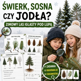 Świerk, sosna czy jodła? — zimowy las iglasty pod lupą