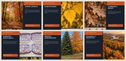 Barwy jesieni | gazetka premium, klasy 5–8 i szkoła ponadpodstawowa, 18 plansz