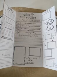 Sposób na Elfa - lapbook + miniksiążeczka