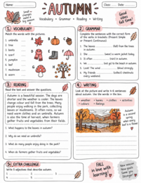 AUTUMN – jesienny  worksheet 🍂 FREE🍂
