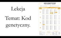 Liceum klasa 3 (podstawa) - Kod genetyczny - prezentacja