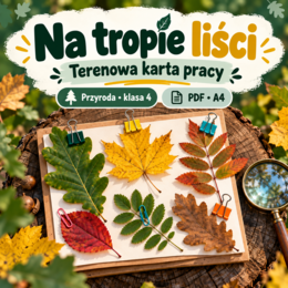 Na tropie liści - wyszukiwanka w terenie