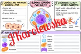 Budowa komórki zwierzęcej klasa 5