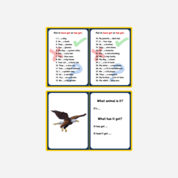 HAVE GOT - materiał gramatyczny na poziomie A1