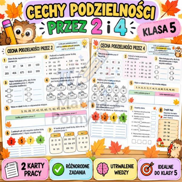 Cechy podzielności przez 2 i 4 – zestaw 2 kart pracy | Matematyka klasa 5