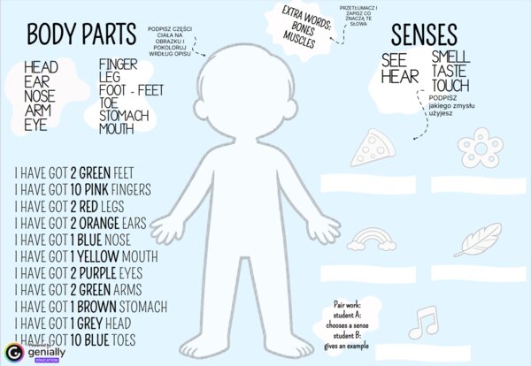 BODY PARTS + SENSES  KL 1-3