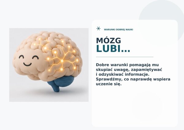 Mózg lubi - jak skutecznie się uczyć