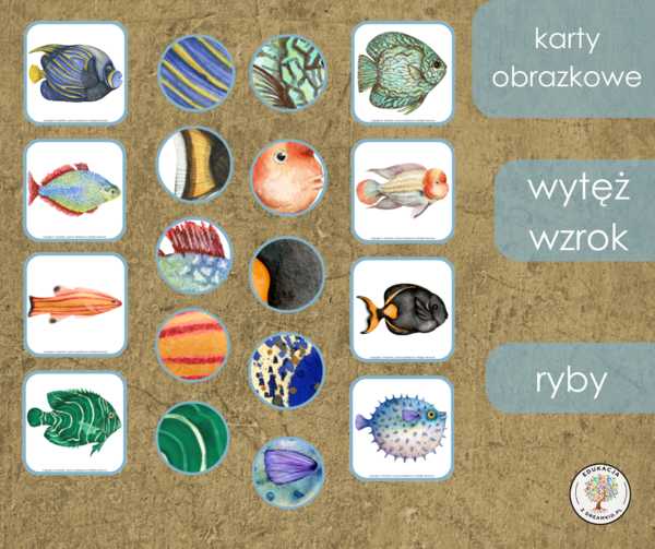 Gra - wytęż wzrok - ryby