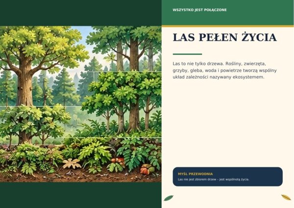 Las – żywy ekosystem | gazetka premium, przedszkole i klasy 1–4, 18 plansz